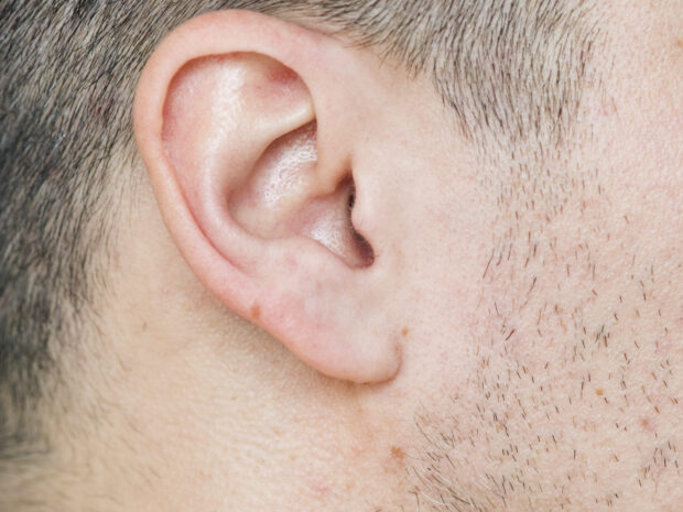 vestíbulo del oído